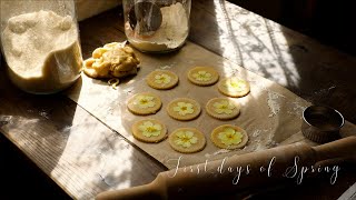 First days of Spring in France, slow life in the country,  baking cookies with primroses 🌼🌱