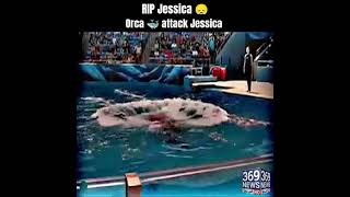The HORRFYING LAST MOMENTS OF ORCA TRAINER JESSICA RADCLIFFE