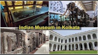 A Tour of Indian Museum in Kolkata | Full Details with Timing and Price