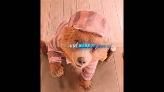 "UNDER MY PROTECTION" | Paddington 2 | Kamin - Emin & Jony (slowed) #edit #shorts