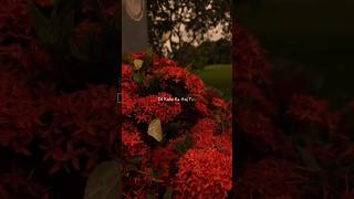 Dil Kahe💗🤌 | lyrics whatsapp status | khuda jaane | #trendingsong #khudajaane #love #ytshorts #viral