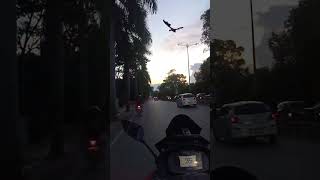 Ada Naga terbang 😱