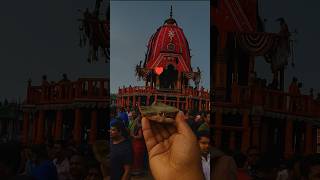 Jagannath Rath Yatra 2025! 27 June Special #jayjagannath #shorts