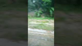 kono ek brishti jhora dine pori k mone kore ganta geye cilam.