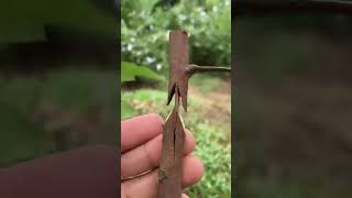 #gareebkisankihindikahani #animationstory #hindicartoonstory #animations #gareeb_kisan_hindi_kahani