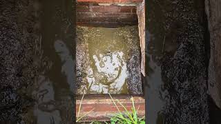 po*p disposal open pipe look at that sheeeeshh  sh*t #cringe #2024 #disgust