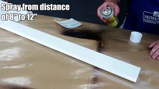 How to use the Aerosol  Painted Cabinet  Spray Can Kit