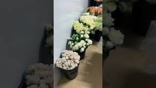 Flower lovers #newsong #song #love #flowers #bouquetmasterfloweshopph