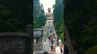 Tian Tan Buddha #tiantanbuddha #ngongping360 #shortsvideo #highlights #shorts