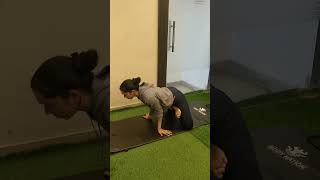 Padam Mayurasana