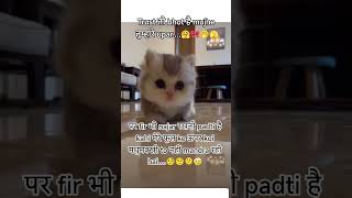 ❤️👀 Funny memes ✨💕#trending #cat #funnyshorts2025 #lovestatus2025 #maggielovers