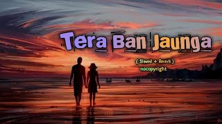 Tera Ban Jaunga 🎐#nocopyrightsounds #lofi #trending #song #lofisong #music #lovesong