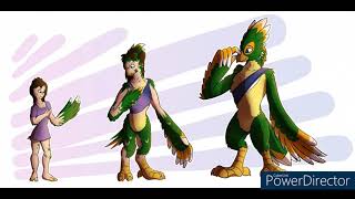 bird tfs #4