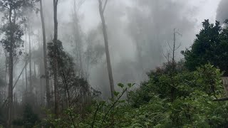 இயற்கையின் அழகு