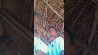 #दिललगालियामैंने #love #hindisong #bollywood #bollywoodsongs #automobile #khesarilalkajalraghwani