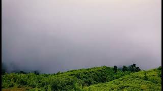 আমার ভিনদেশী তারা। একা রাতেরই আকাশে। প্রকৃতির সাথে
