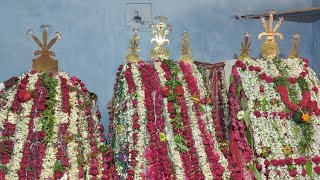 Anajpur Muharram -Aug2022 (11)||అనాజ్‌పూర్ ముహర్రం||RamojiFilmCity||Muharram||Anajpur||పీర్ల పండుగ