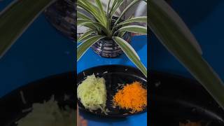 simple raita #cookingvideo #recipe #indianfood #food #raita#simple raita