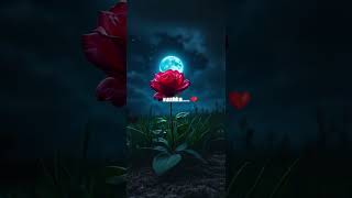 vazhka pugum duram lyrical aesthetic edits | whatsapp status | tamil song| #musiclyrics #tamil #song