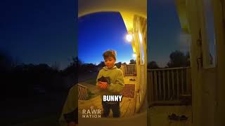 That’s not a bunny 😅 #shorts #animals #animallovers