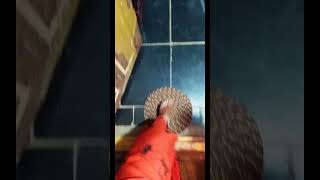 okkarilo iddarani iddarilo okkarani|| #viralvideo #trendingshorts