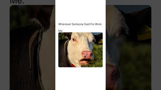 #shortvideo #memes #viralmemes