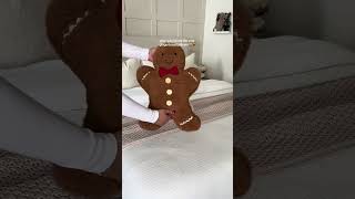 4 TJMaxx’s Later & I Finally Found Them #fyp #gingerbreadpillow