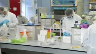 MSc Industrial Pharmaceutics