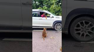Bajarang🔥😱#monkey #viral #short #shorts #shortvideo #love #viralvideo #bhakti #bajrangbali #trending