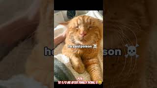 rap after sollowing shampoo😆 #funnyshorts #funnyrapsong