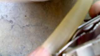 Very Long Nail Cut..