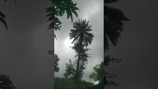 #newsong #music #habibwahidnewsong #banglasong