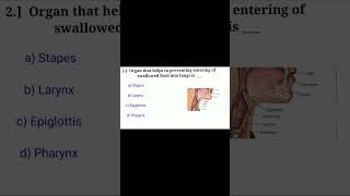 Bio important questions for SSC CGL #ssc #sscmtsgk #shorts