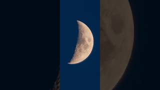 Witness the DIFFERENCE a lens makes | ashokwildframes #phonk #music #song #momentlens #sonylens