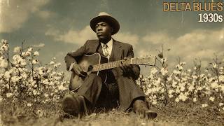 Cotton Field Blues | Mississippi Delta 1930s | Raw Acoustic Guitar #3