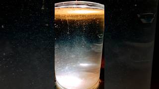 #trending #music # turmeric trend