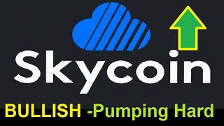 Sky coin - still seems very strong
