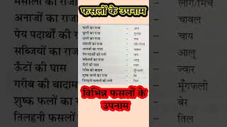 Reet mains exam 2025 || 4th grade exam 2025 || Highcourt exam 2025 #4thgrade #reetmainsexam2025