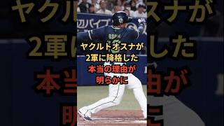 ヤクルトオスナが抹消された本当の理由とは？#ヤクルトスワローズ #オスナ #プロ野球 #野球 #shorts