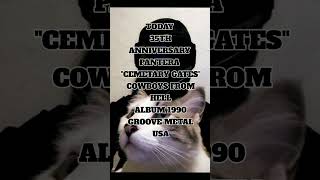 #pantera #thrashmetal #groovemetal #90s #cowboysfromhell #cemetarygates#dimebag #knetandjakee🤘🏻😈🤘🏻😼