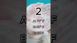 What is the minimum temperature required for water at a hand washing sink?#foodsafety #servsafe#cfpm