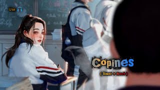 Copines Song 🎧 ll #lofisong #copines #trending #music #slowedandreverb #edit #song #status #youtube