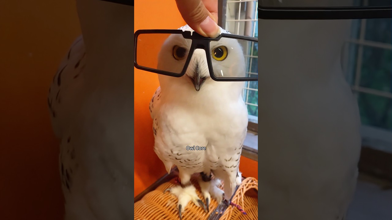 サムネ