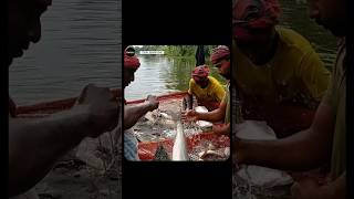 Today Relationship ?  #YouTubeShorts#ShortsFeed#ViralShorts#TrendingNow