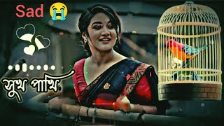 সুখ পাখি তোর প্রেমে মন মজাইয়া আমি / Shukh pakhi tor preme /bm baplu official | F A FUMON | lofi song