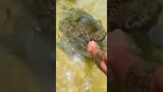 #srilankanvlogger #beach