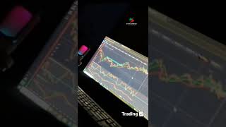 TELEGRAM LINK IN BIO - Learn Before Earn - Nifty Champion 🏆 .....#nifty #niftychampion