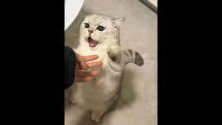 Baby, you are the only one #pamperedpets #petparadise