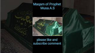 Prophets.Makam E Nabi #shortsfeed #viralvideo #trending #islamicnaats #islamicshorts #islamicstatus
