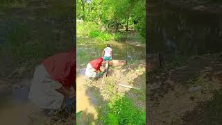 #song #love #haryanvisong #unfrezzmyaccount #entertainment #newsong #bailobibahsong